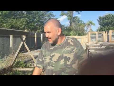 YouTube reptile video