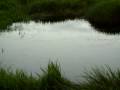 Fogg Dam Darwin NT Fogg Dam Darwin NT
