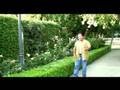 Sean Romero - Mama's Boy