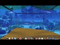 Ubuntu 7.10+Compiz 3D+AWN show(09)