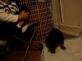 First-Night