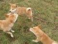 親子と言うより姉妹？