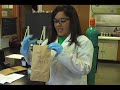 Ohio University Forensic Chemistry Lab, Fingerprinting