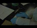Ohio University Forensic Chemistry Lab, Fingerprinting