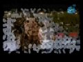احمد سعد _ جراحى BY abd el raouf.wmv
