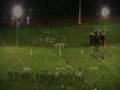 videos de MOUNT OLIVE VS MORRISTOWN NJ 10-3-08