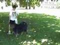Wonderdogs.bc.ca -- Ben Kersen Trains A Blind Dog