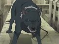 Wolf\ Wolf\
