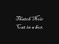 Thatch Noir - Cat in a box (WITH LYRICS)