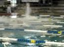 relais de natation relais de natation
