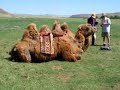 Mongolia 2007 part 1 of 3
