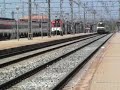 Treneo rapido por Sant Vicenç de Calders