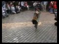 Bounce Around Bounce Around