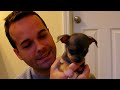 Introducing Mimi and Trudy