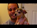 Introducing Mimi and Trudy