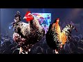 Red Bull Batalla de los Gallos 07 /Octavos/ YeahYon VS Tonio
