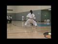 2007 SAKA Tournament --  Ika Prawoko - Sochin