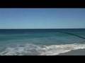 Big sharks at Kalbarri Western Australia