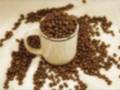 Megérkezett a ganoderma!