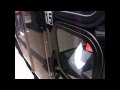 Team Audio Connection Gary Psychlone Run
