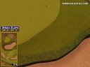 Golden Tee Great Shot on Bonnie Moor! Golden Tee Great Shot on Bonnie Moor!