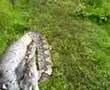 21 feet phyton !! Ular sawa 21 kaki