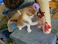 Legolas jugando con un guante interactivo