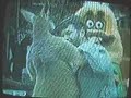 Kangaroo Beats Up Mascot (With Sound)