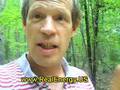 Are Heavy Metals Zapping Your Energy