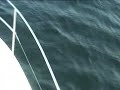 Buncrana to isle of jura (Dolphins) from Dancing Wave