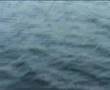 Buncrana to isle of jura (Dolphins) from Dancing Wave