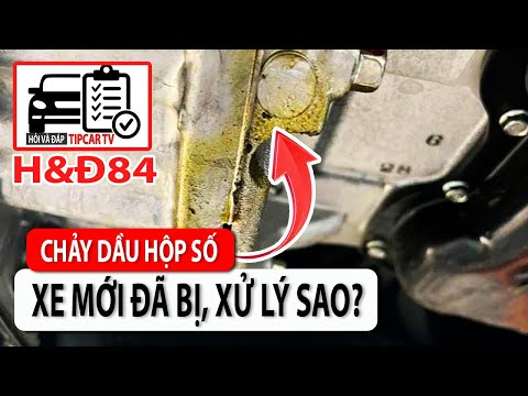 H&Đ84: Xe mới đã bị chảy nhớt đầu hộp số, không phải ai cũng phát hiện ra | TIPCAR TV