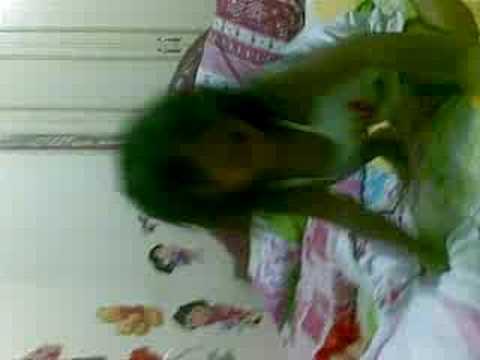 nica dancing