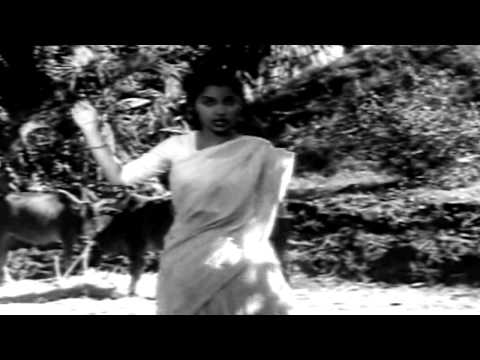 Kaagaz Ke Phool - Ek Do Teen Char Aur Paanch - Geeta Dutt & Chorus