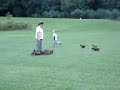 Boy Chased By Puppies