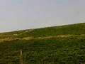 Conac Valea Calugareasca