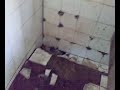 Nirmal Gujarat for cleanliness Nirmal Gujarat for cleanliness