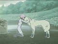 Wolf\ Wolf\