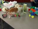 Silly Kitty Silly Kitty