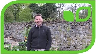 Interview mit Gartenvideo-Fan Mathias