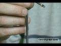 videos de Snakes of PA: Ring neck snake - timesleader.com