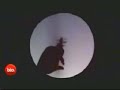 Awesome Shadow Puppets