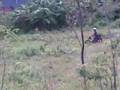 videos de Postie jump