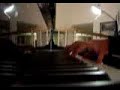 The War (piano cover) Angels and Airwaves