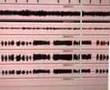 Bohemian Rhapsody multitrack