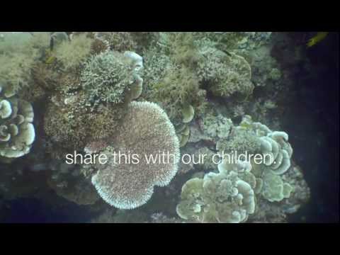 See video