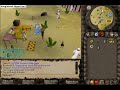 Guide to switching to Ancient Magicks