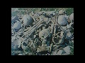 hiroshima: warning to the world   japan