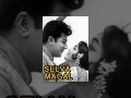Selva Magal