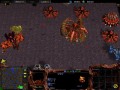 Project Revolution Demo - Zerg - Warcraft III mod Project Revolution Demo - Zerg - Warcraft III mod